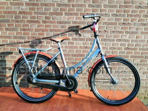 Batavus Amigo ficha-técnica e avaliações